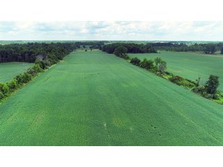 Dekalb County, Indiana Farmland - FARM AUCTION - 4 BEDROOM HOME, BUILDINGS, 70+/- ACRES OFFERED IN 5 TRACTS IN DEKALB COUNTY, INDIANA